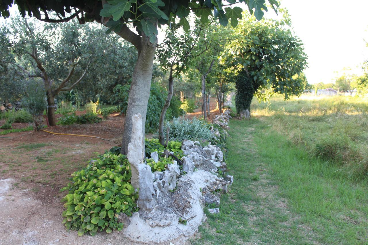 Haus Glavani Barban Buitenkant foto