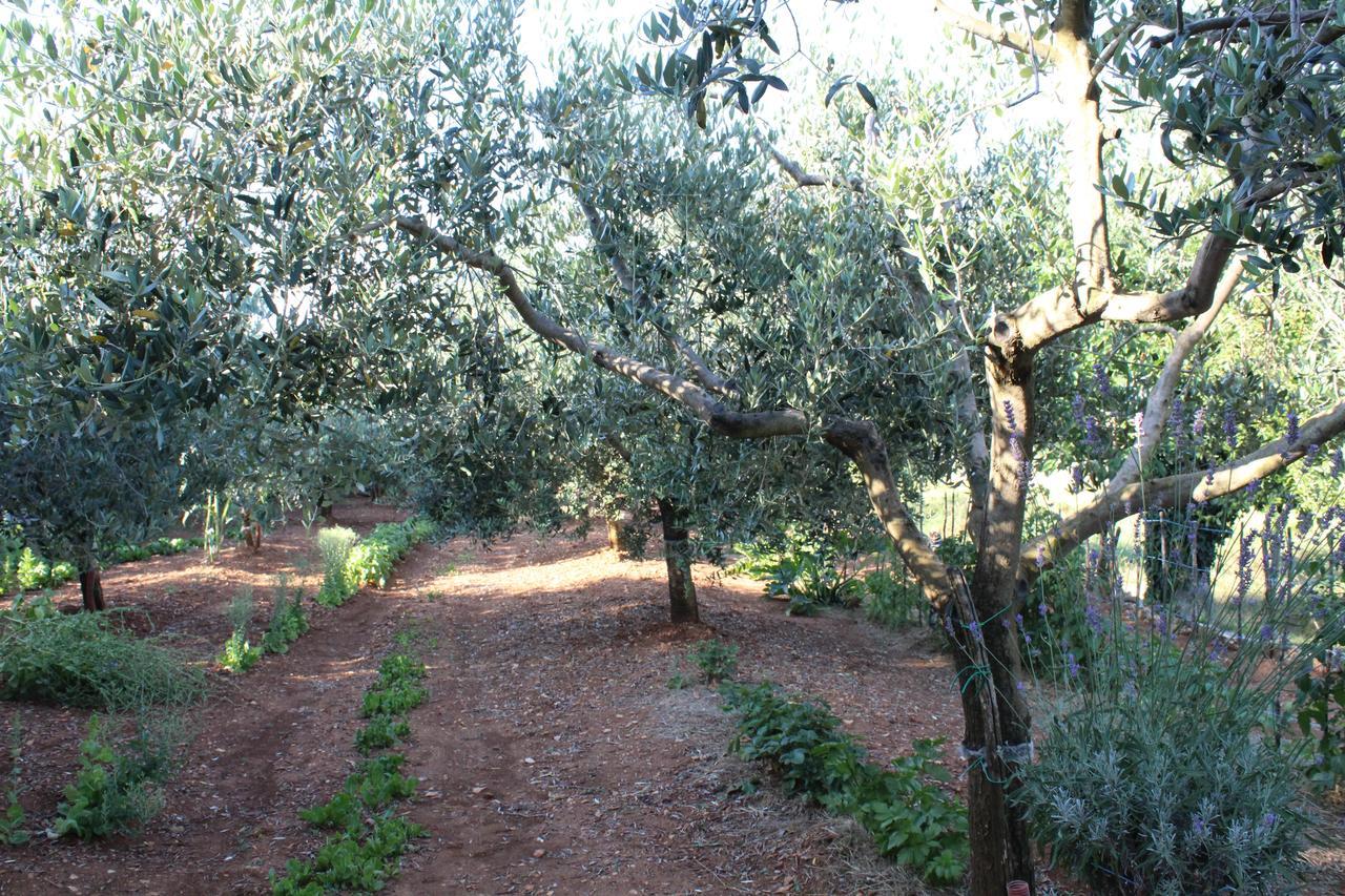 Haus Glavani Barban Buitenkant foto